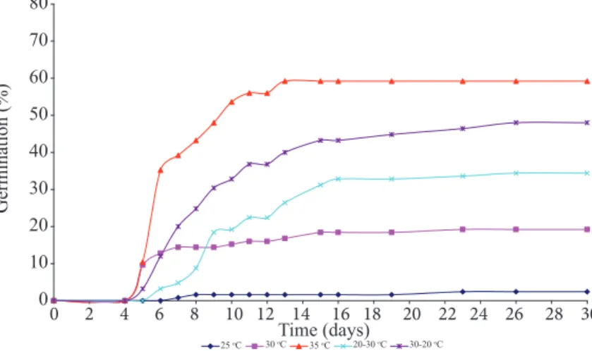 Figure 1.  Germination (%) of Passiflora incarnata L. seeds subjected to different temperatures and constant darkness.