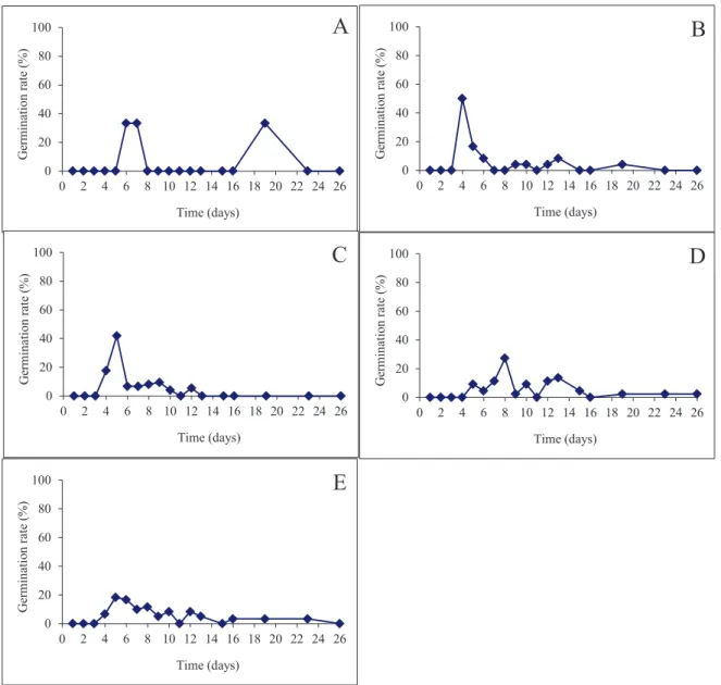 Figure 2.  Germination rate (%) of Passiflora incarnata L. seeds subjected to different temperatures: 25 ºC (A); 30 ºC (B); 35 ºC (C); 