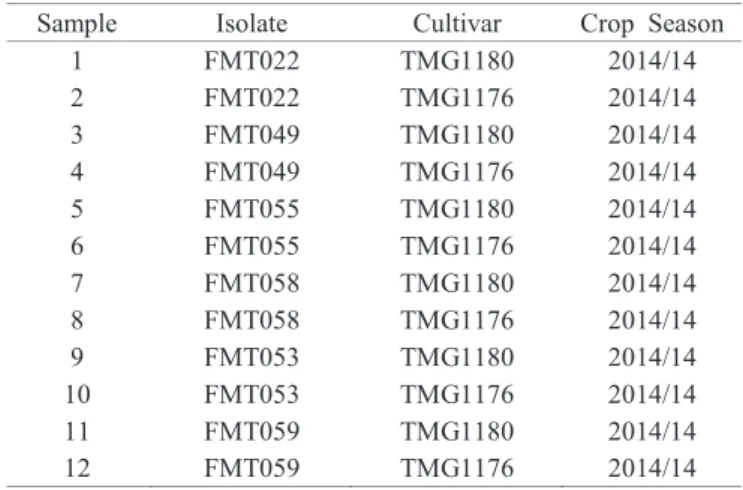 Table 2.   Seeds from two cultivars naturally infected with  isolates of Corynespora cassiicola.