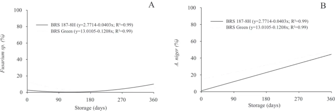 Figure 4. Incidence of Fusarium sp. and Aspergillus niger in cotton seeds, cultivars BRS Green and BRS 187 - 8H during storage.