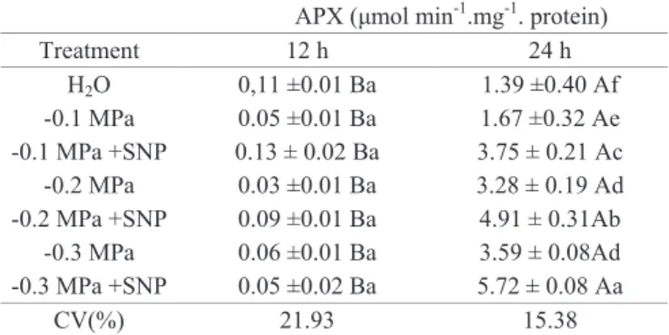 Table 3.  Enzyme  activity  of  ascorbate  peroxidase  (APX)  in  Sesamum indicum seeds after 12 and 24 hours  of  imbibition  in  solutions  with  different  osmotic  potentials supplemented or not of SNP.