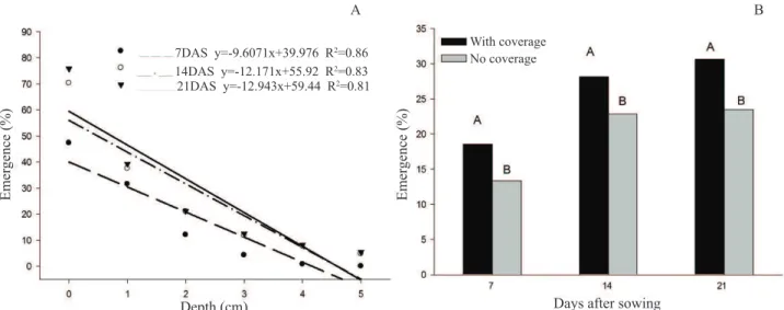 Figure 4.  Emergence of the seedlings at 7, 14 and 21 days after sowing (DAS), obtained from E