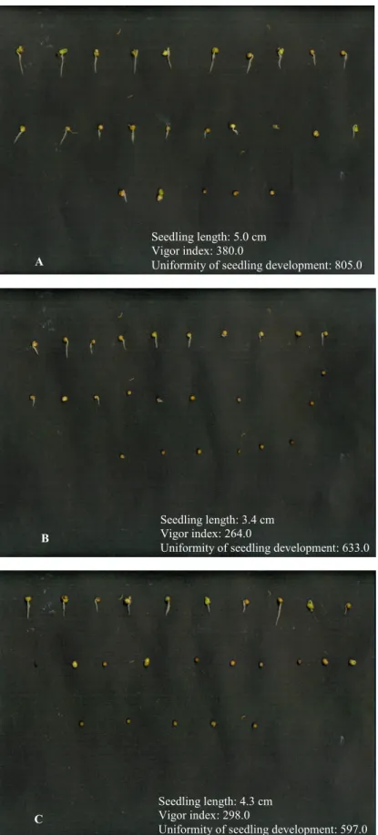 Figure 1.  Digital images of crambe seedlings three days after sowing from seed lots of high vigor, intermediate vigor, and low  vigor: lots 1 (A), 3 (B), and 5 (C), respectively, analyzed by the Seed Vigor Imaging System (SVIS ® )