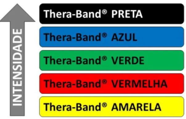 Figura 1: Graduação de intensidade das faixas elásticas TheraBand® de acordo com cores
