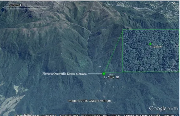 Figura 6. Ponto de coleta I na vertente da costa no PNI, RJ, amostrado em 2011-2012. Fonte: Google  Earth Systems (acesso em 30/08/2013)