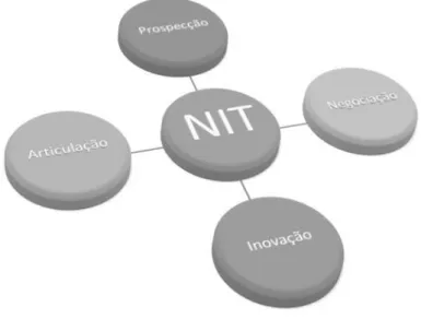 Figura 5: Função dos NITs brasileiros, de acordo com a ANPEI 