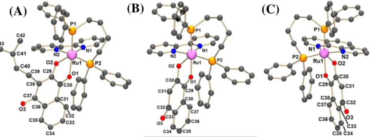FIGURA  4.19  -  Estruturas  cristalinas  dos  complexos  (A)  [Ru(lap)(dppb)(bipy)]PF 6 ,  (B)  [Ru(lau)(dppb)(bipy)]PF 6   e (C) [Ru(lau)(dppb)(fen)]PF 6 