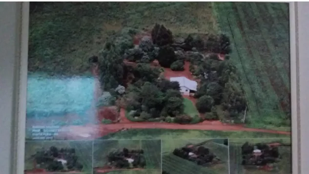 Figura 7. Vista área cedido pelo agricultor registrada em Janeiro de 2015.  Foto  tirada em novembro no Rancho Soledad, em Ponta Porã