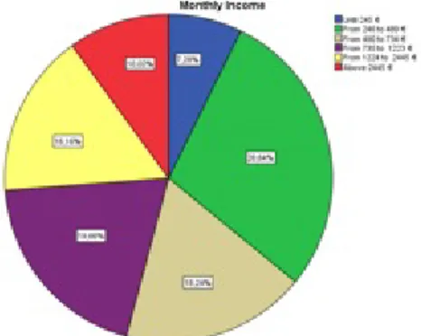 Fig. 1. Distribution of the monthly income of the users study sample.