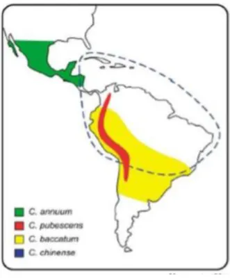 Figura 1. Mapa das zonas de expansão pré-colombiana para quatro das espécies domesticas  de Capsicum