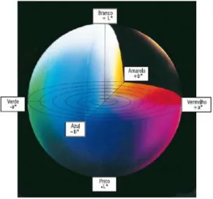 Figura 6 - Representações do sólido das cores pelo método CIE L*a*b* no  espaço das cores