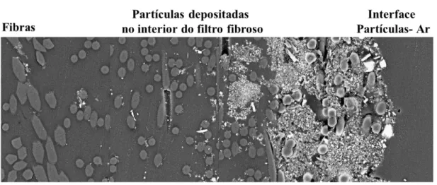 Figura 24  –  Imagem da profundidade de deposição de partículas no meio filtrante. 