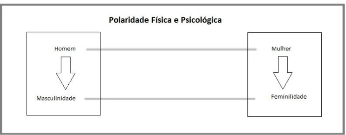 Figura 1 . Tipos de polaridade. 