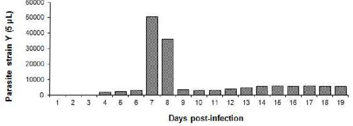Figure 1. Parasite load in BALB/c mice after infection with 1 x 10 5  trypomastigotes/mL of  T