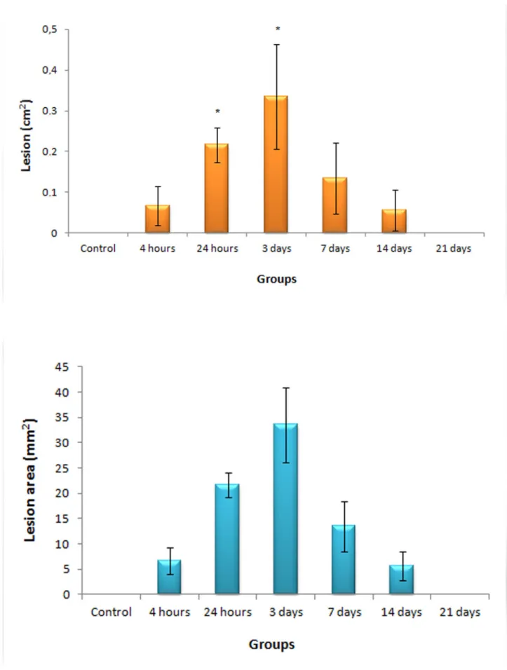 Figure  1.  Lesion  area  for  experimental  (n  =  6)  and  control  (n  =  4)  groups  after  intradermic  injection  of  Bothrops cotiara venom