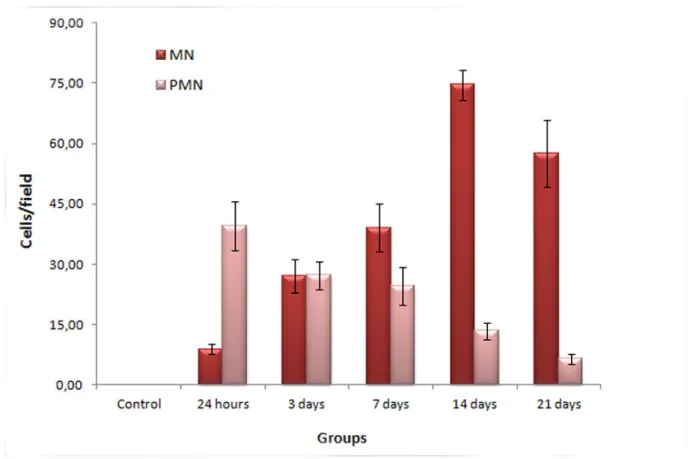 Figure 3. Determination of the number of mono- (MN) and polymorphonuclear (PMN) cells in the skin of  mice after injection of Bothrops cotiara venom (100 µg/50 µL) or 0.9% NaCl solution (control group)