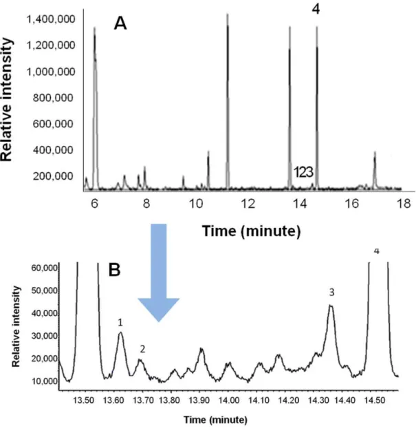 Figure 2. (A) Total ion chromatogram of H. scabiosae eggs, analyzed by an Agilent 6890 N GC instrument
