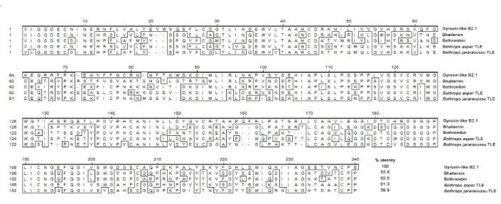 Figure 5. (A) Alignment of the amino acid sequence of several bothropic TLEs with gyroxin-like B2.1 from  Crotalus durissus terrificus