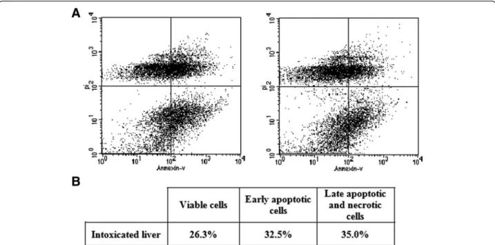 Figure 3 Assessment of apoptosis in hepatic tissue of male rats injected with Naja haje crude venom