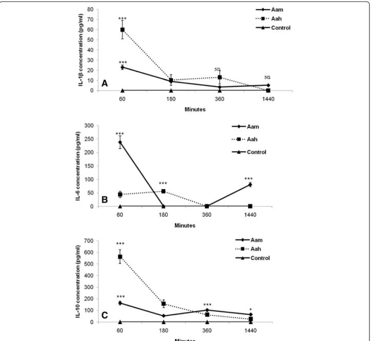 Figure 1 Kinetic of cytokines release in sera following Aam or Aah injection. (A) IL-1β, (B) IL-6, (C) IL-10 *p < 0.05, **p < 0.01, ***p < 0.001, NS: not significant, compared to control.