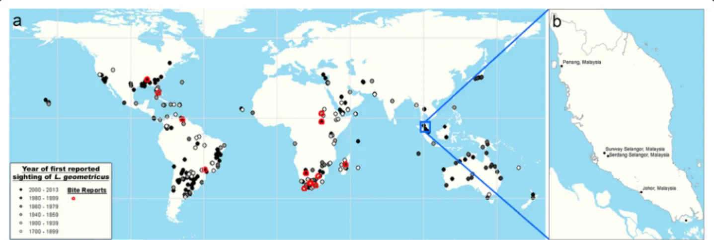 Figure 1 Distribution of reported sightings of Latrodectus geometricus. (a) Map showing the global distribution of Latrodectus geometricus [1,2,7,11,12,19,21-24,27-127]