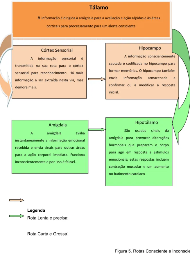 Figura 5. Rotas Consciente e Inconsciente  