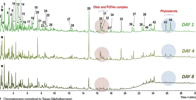 Fig. 3. Evolution of lettuce fingerprinting (Py-GC/MS at 500 °C) with time (1, 4 and 8 days) packed in PLA/PBS bioplastic (95:5) film without OEO