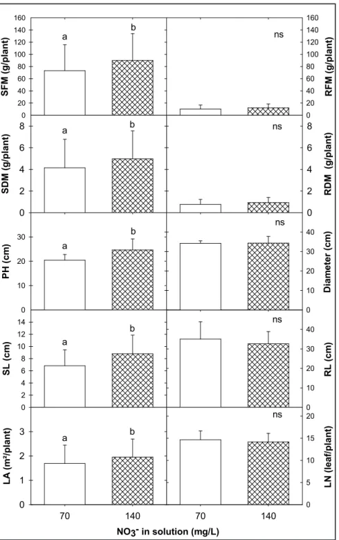 Figure 2. Morphological variables of hydroponic lettuce in function of the nitrate  concentration in the nutrient solution: SFM (shoot fresh mass); RFM (root fresh mass); 