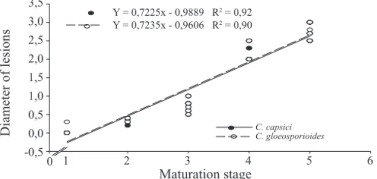 Figure 4. Development of the anthracnose disease caused  by  Colletotrichum capsici and Colletotrichum  gloeosporioides as a function of maturation stages  of the physic nut fruits