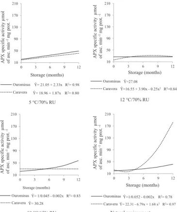 Figure 4.  Specific  activity  of  the  enzyme  ascorbate  peroxidase (APX) (µmol de asc min -1  µg of prot -1 )  in seeds of rice cultivars during storage in different  environments.