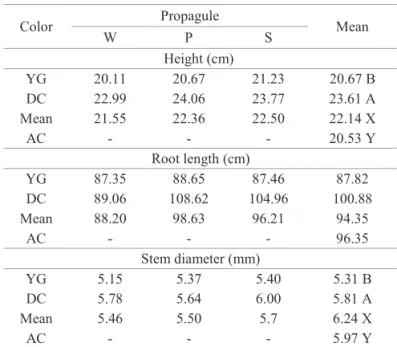 Table 4.  Mean values of the variables of height, root length  and stem diameter in the combination of the  factors of fruit color (YG-yellowish-green,  DC-dark colored), type of propagule (W-whole fruit,  P-pulped fruit, S-seed) and additional control (AC