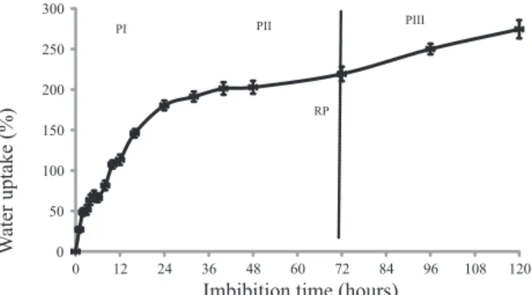 Figure 2.  Imbibition curve of Z. sylvatica seeds, increase  in fresh weight compared with initial quiescent  seed weight due to water uptake