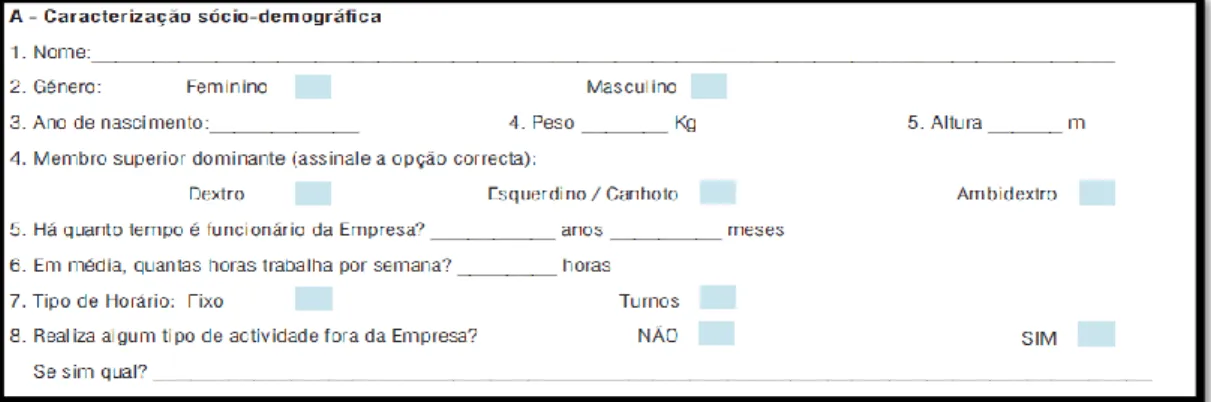 Figura 4: Caracterização sócio-demográfica Fonte: Serranheira et al. (2008)