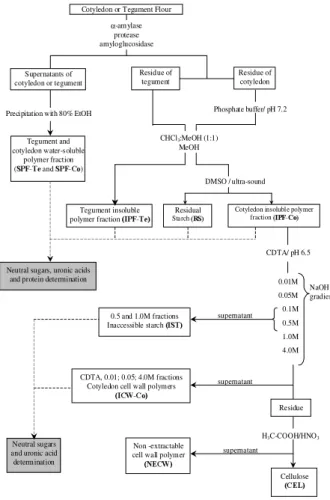 FIGURE 1.  General  flow  chart  of  isolation,  fractionation  and analysis  of  the  cell  wall  polymers  of  common  beans (Phaseolus vulgaris L.)