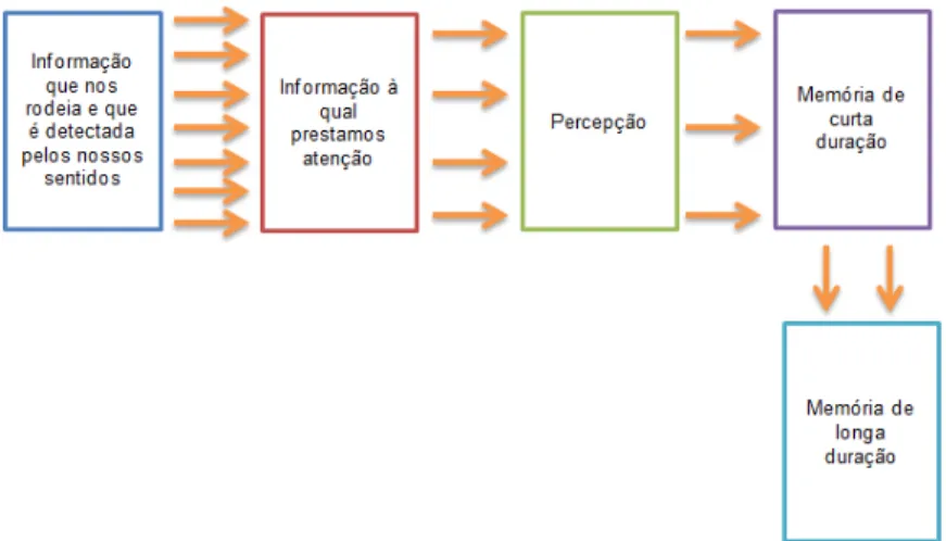 Figura 3 - Como a informação é processada (adaptado de Bertino &amp; Bertino, 2012) 