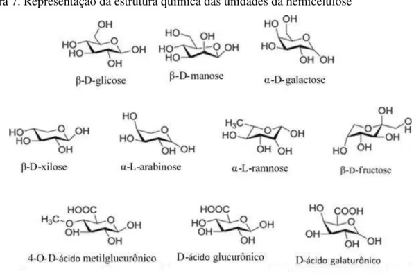 Figura 7. Representação da estrutura química das unidades da hemicelulose 