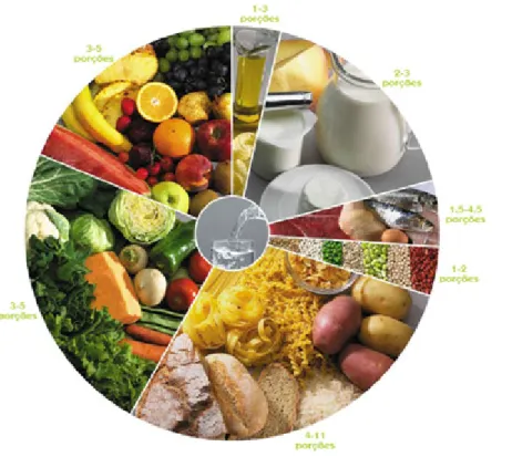 Figura 8. Nova Roda dos Alimentos. 