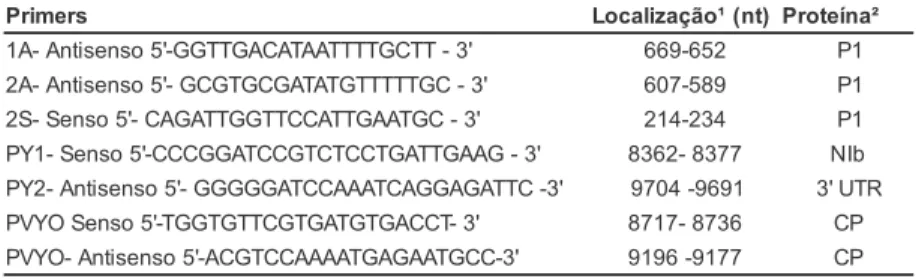 Tabela 2. Seqüências dos primers utilizados e sua localização no genoma viral de PVY.