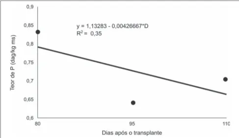 Figura 3. Teor de fósforo nos capítulos florais da camomila cv. Mandirituba, em função de dias após o transplante