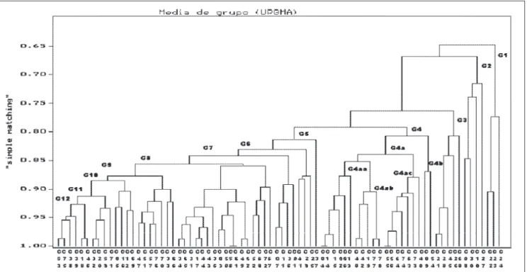 Figura 2. Fenograma de agrupamento de 78 acessos de pimenta-do-reino da coleção de germoplasma da Embrapa Amazônia Oriental, gerado pelo método UPGMA, com similaridades calculadas pelo coeficiente de semelhança simples (“simple matching”)