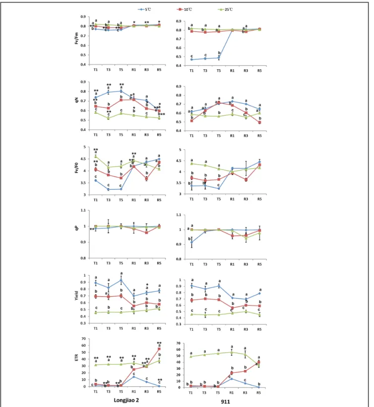 Figure 2. Changes in the parameters of chlorophyll fluorescence during growth of  Zizania latifolia  of ‘Longjiao 2’ and ‘Zhejiao 911’ in  different temperature conditions (variações nos parâmetros da fluorescência da clorofila durante o crescimento de Ziz