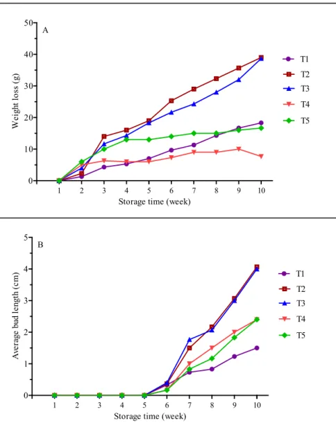 Figure 3. Interaction effect of storage times and storage conditions on the weight loss (a)  and the average bud length (b) of onion bulbs