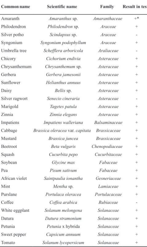 Table 1. Plants used in the pathogenicity and host tests, in reaction to artificial inoculation of  seven bacterial isolates obtained from gerbera in the Federal District (plantas utilizadas no  teste de patogenicidade e de hospedeiras, em reação a inocula