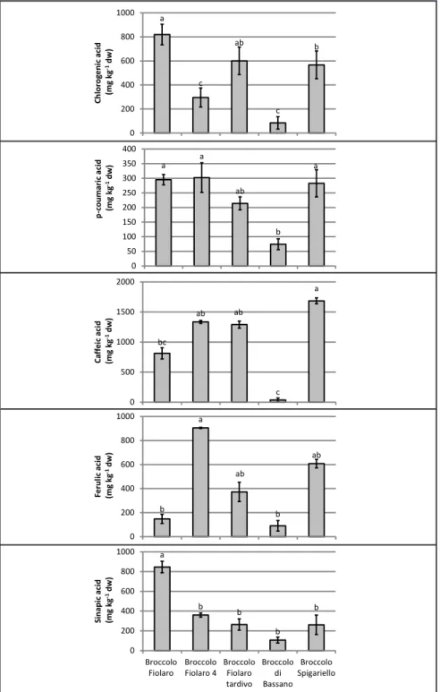 Figure 2. Free phenolic acids contents in different Italian broccoli landraces (teores de ácidos  fenólicos livres em diferentes variedades crioulas de brócolis italianos)