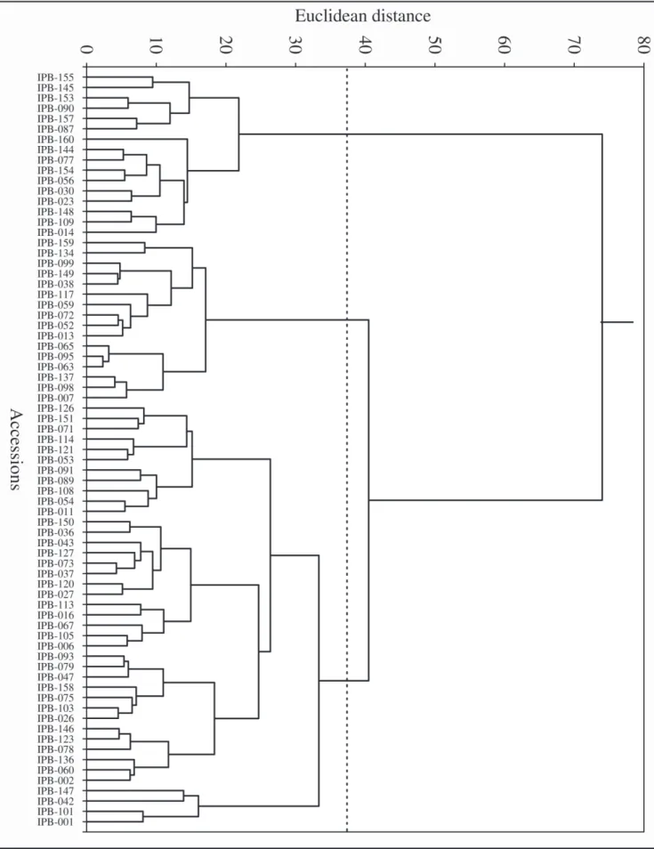 Figure 1. Morphological dissimilarity dendogram of 73 sweet potato accessions, established by UPGMA method, using Euclidean distance,  based on 24 morpho-agronomic traits