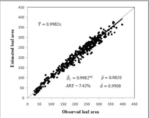 Figure 3. Ratio between observed and estimated leaf area using the logarithmic model ((LA LW
