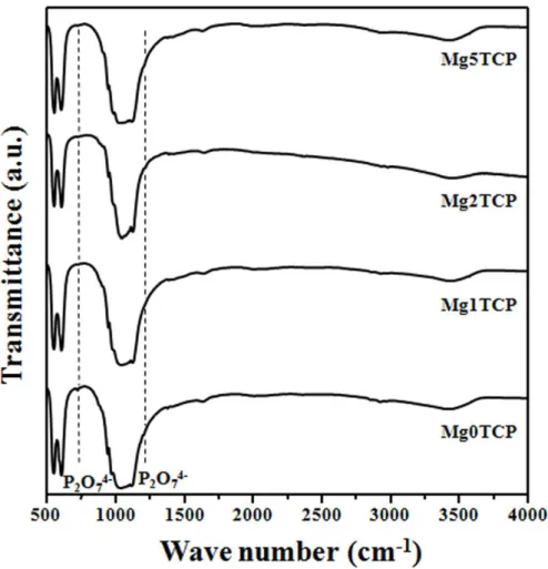 Fig. 2. FT-IR spectra of undoped (Mg0TCP) and Mg-doped (Mg1−5 TCP) starting β-TCP powders  (heat treated at 800ºC)