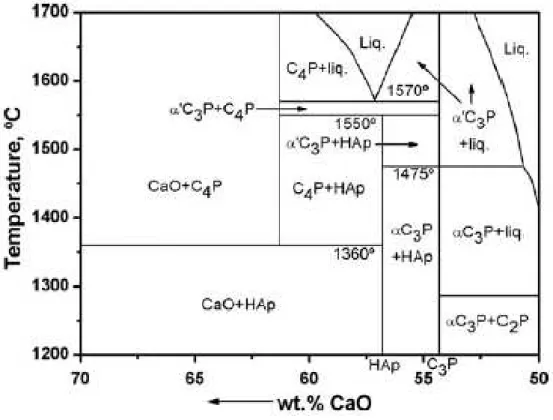 Figura 2.3 Diagrama de equilíbrio de fases do sistema CaO-P 2 O 5 -H 2 O (C=CaO; P=P 2 O 5 ;  Ap=apatite/hidroxiapatite) segundo Ribaud
