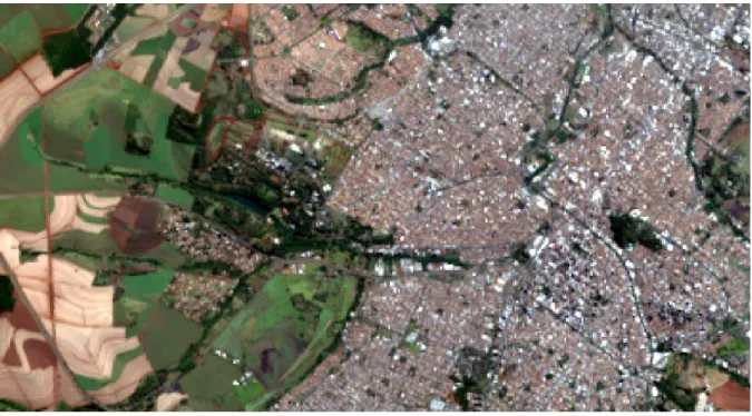 Figura 9. Imagem do satélite Landsat 8 da região de Ribeirão Preto - 01/07/2017 (USGS, 2017)