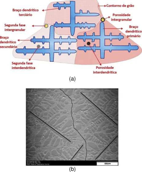 Figura  7  -  (a)  Representação  esquemática  teórica  de  uma  microestrutura  de  solidificação (adptado de [13]) e (b) Micrografia de uma liga Al-7%Si indicando o  contorno separando dois grãos dendríticos e uma leve desorientação entre eles